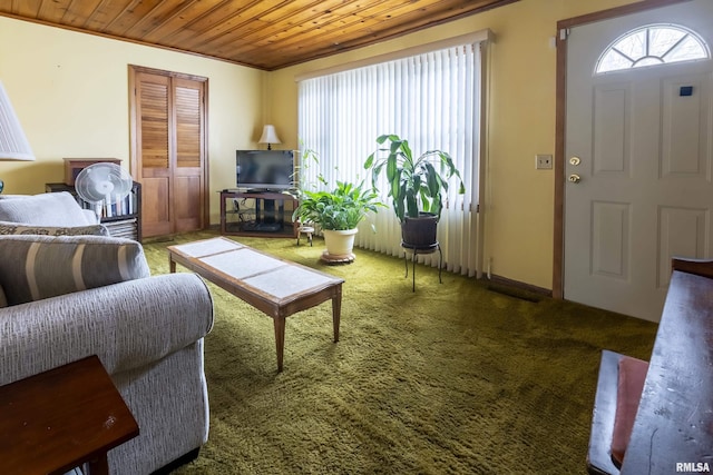 804 N Almond St, Carbondale, IL 62902 - carpeted living area featuring a wealth of natural light, wooden ceiling, and baseboards