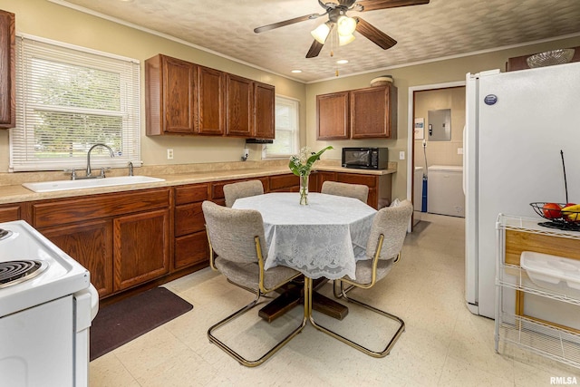 804 N Almond St, Carbondale, IL 62902 - kitchen with electric panel, white appliances, light floors, a sink, and a healthy amount of sunlight