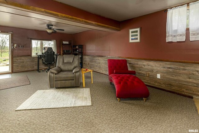 170 Brasel Dr, Murphysboro, IL 62966 - photo 29