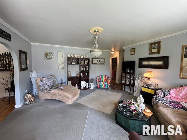 188 W Honeysuckle Dr, Elizabethtown, IL 62931 - living area with arched walkways and crown molding