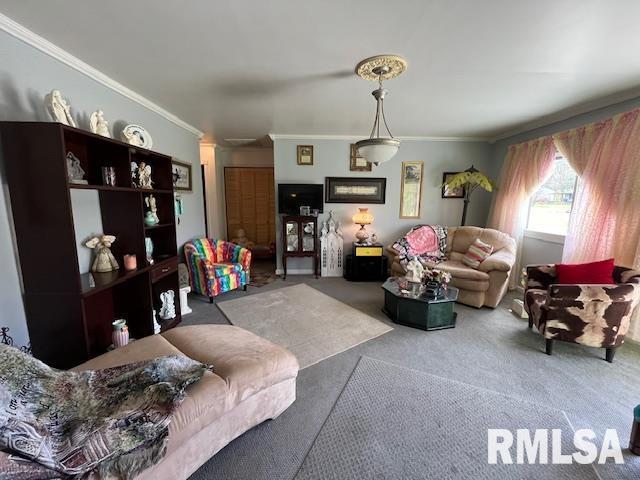188 W Honeysuckle Dr, Elizabethtown, IL 62931 - living area featuring carpet floors and ornamental molding