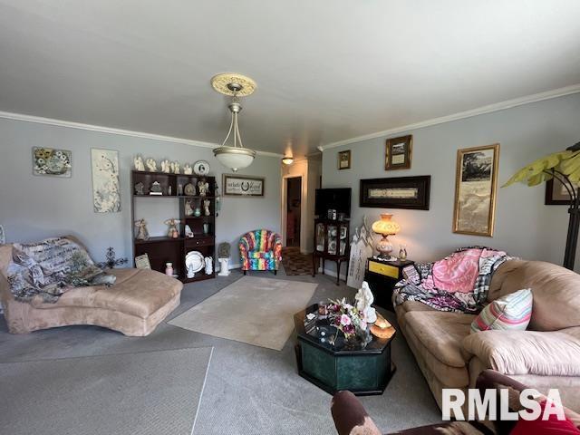 188 W Honeysuckle Dr, Elizabethtown, IL 62931 - living room with crown molding