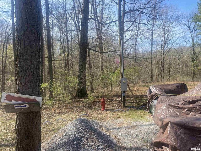 15 Oakwood Ln, Murphysboro, IL 62966 - photo 14