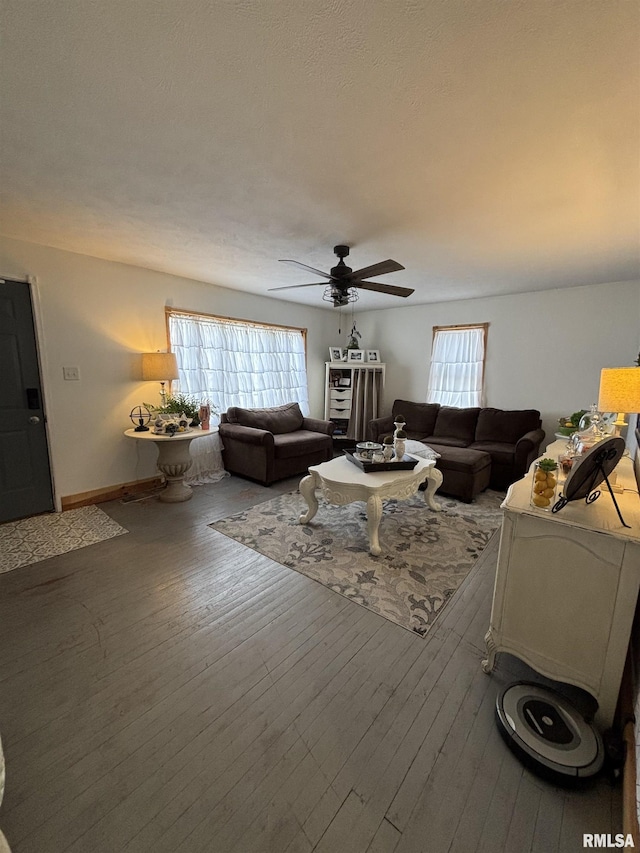 205 N Bentley St, Marion, IL 62959 - living room featuring baseboards, ceiling fan, plenty of natural light, and wood-type flooring