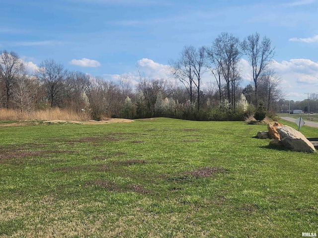 17116 Old Town Dr, Sesser, IL 62884 - view of yard
