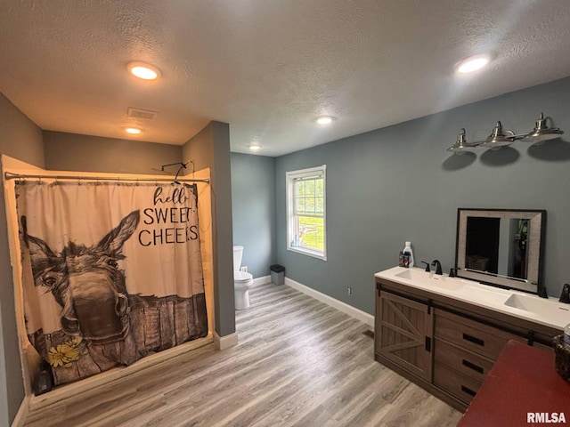 17116 Old Town Dr, Sesser, IL 62884 - bathroom featuring baseboards, a sink, a textured ceiling, and toilet