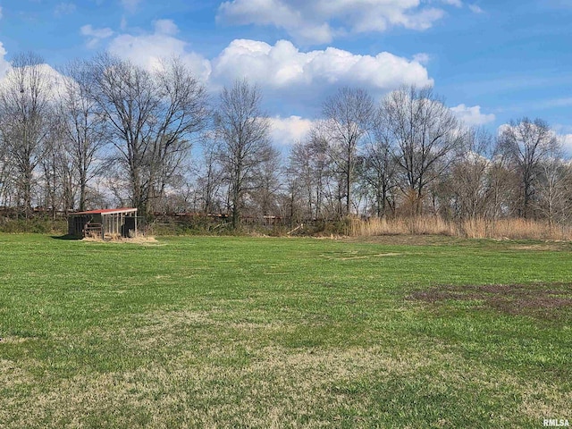 17116 Old Town Dr, Sesser, IL 62884 - view of yard