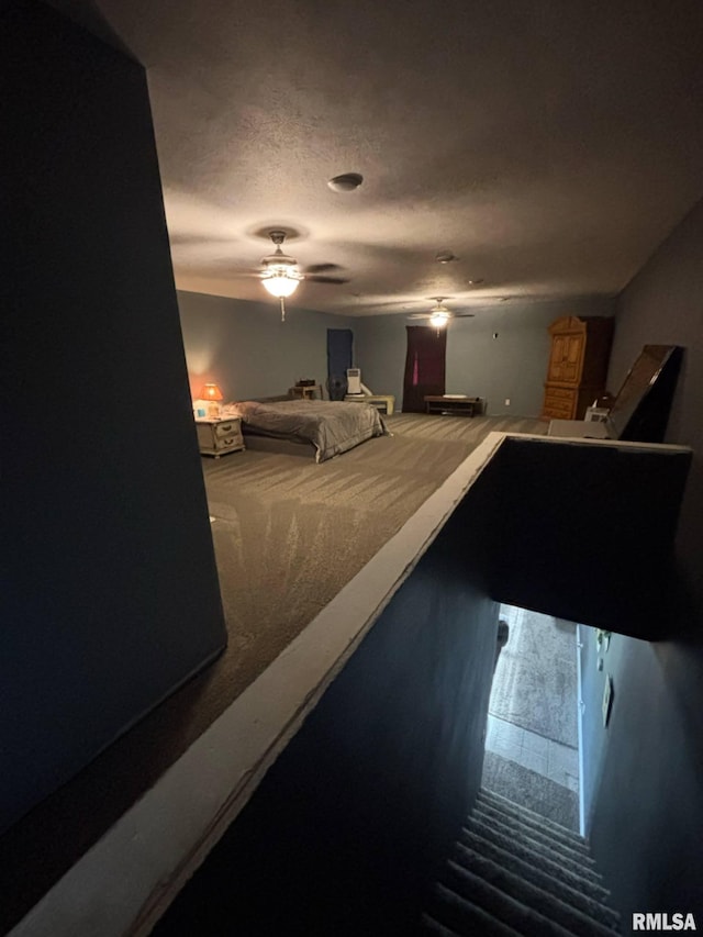 17116 Old Town Dr, Sesser, IL 62884 - bedroom with ceiling fan