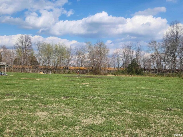 17116 Old Town Dr, Sesser, IL 62884 - view of yard