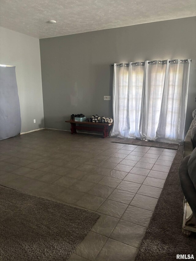 17116 Old Town Dr, Sesser, IL 62884 - spare room featuring a textured ceiling