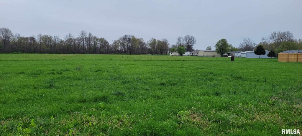O E N St, Bonnie, IL 62816 - photo 3