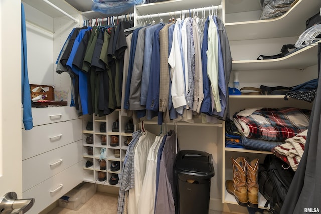 view of walk in closet