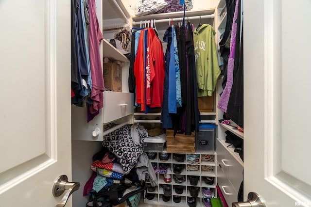view of walk in closet