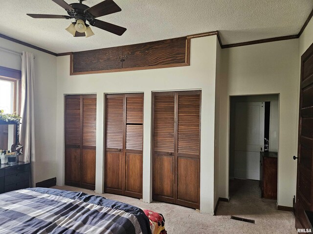 107 W Lincoln St, Harrisburg, IL 62946 - bedroom featuring carpet flooring, a textured ceiling, crown molding, visible vents, and multiple closets