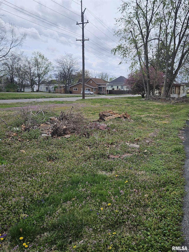 107 W Lincoln St, Harrisburg, IL 62946 - view of yard
