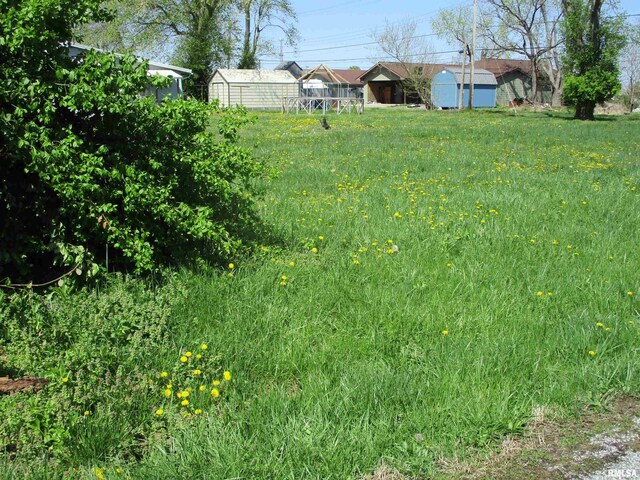 1111 E Bond St, Benton, IL 62812