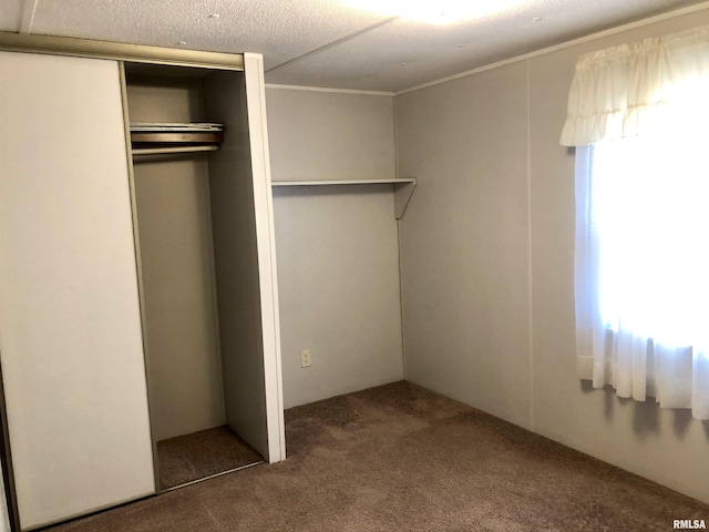 11648 Trolley Line Rd, Marion, IL 62959 - unfurnished bedroom featuring a closet, carpet flooring, and multiple windows