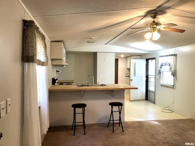 11648 Trolley Line Rd, Marion, IL 62959 - kitchen featuring butcher block counters, a peninsula, white cabinetry, and vaulted ceiling