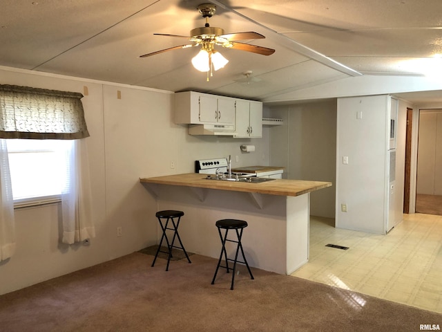 11648 Trolley Line Rd, Marion, IL 62959 - kitchen with a peninsula, under cabinet range hood, butcher block counters, vaulted ceiling, and a breakfast bar area