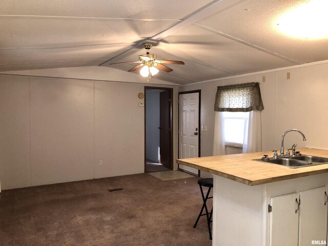 11648 Trolley Line Rd, Marion, IL 62959 - kitchen with dark colored carpet, a sink, a ceiling fan, wood counters, and vaulted ceiling