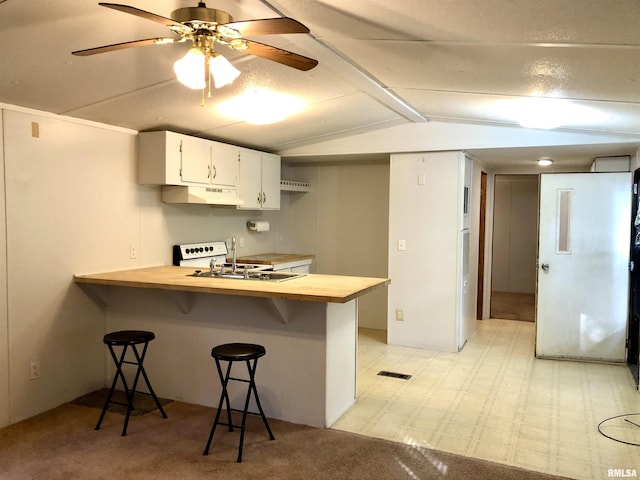 11648 Trolley Line Rd, Marion, IL 62959 - kitchen with a sink, a peninsula, butcher block counters, under cabinet range hood, and lofted ceiling