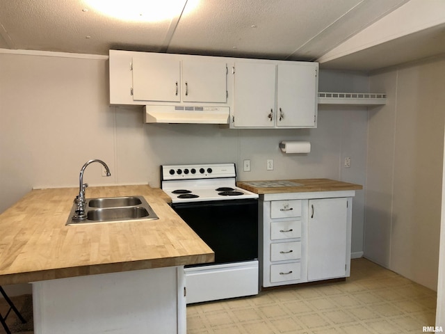 11648 Trolley Line Rd, Marion, IL 62959 - kitchen with a sink, electric stove, under cabinet range hood, wood counters, and light floors