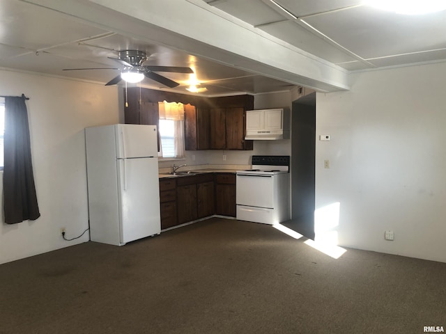 11648 Trolley Line Rd, Marion, IL 62959 - kitchen with ceiling fan, white appliances, under cabinet range hood, a sink, and dark colored carpet