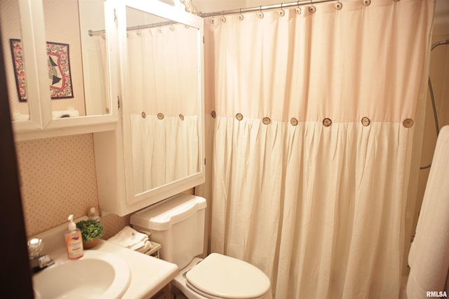 11648 Trolley Line Rd, Marion, IL 62959 - bathroom featuring toilet, vanity, and wallpapered walls
