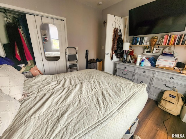 609 S Poplar St, Carbondale, IL 62901 - bedroom with a closet and wood finished floors