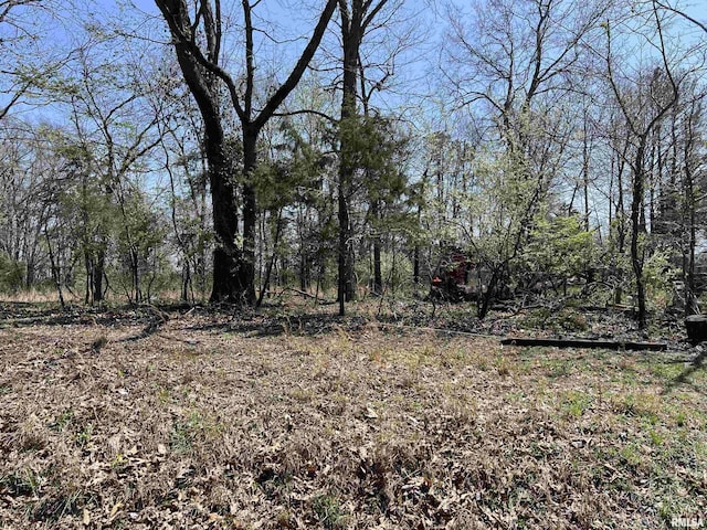 LOT442 Thompson Dr, Goreville, IL 62939