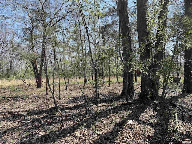 LOT442 Thompson Dr, Goreville, IL 62939