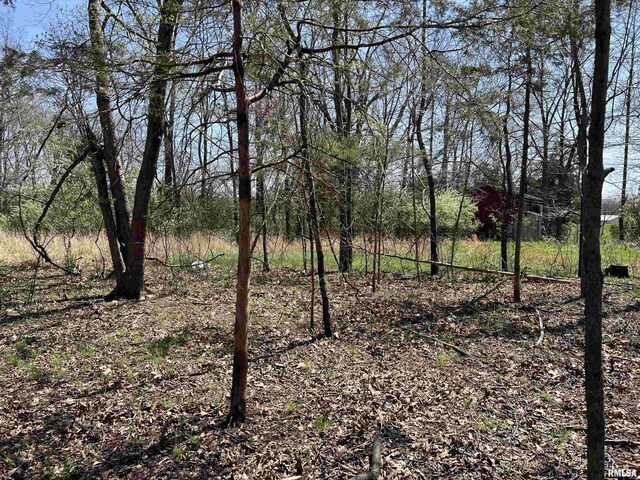 LOT442 Thompson Dr, Goreville, IL 62939