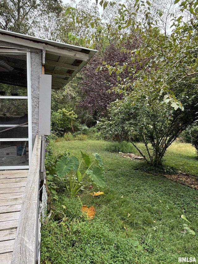 315 W Furlong St, Carrier Mills, IL 62917 - view of yard