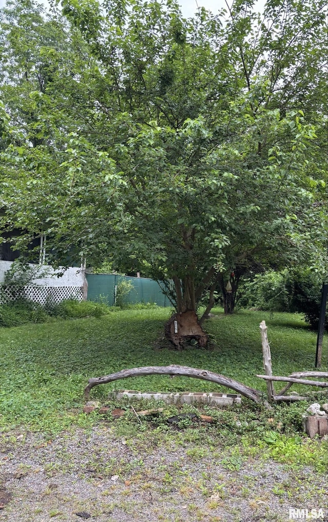 315 W Furlong St, Carrier Mills, IL 62917 - view of yard