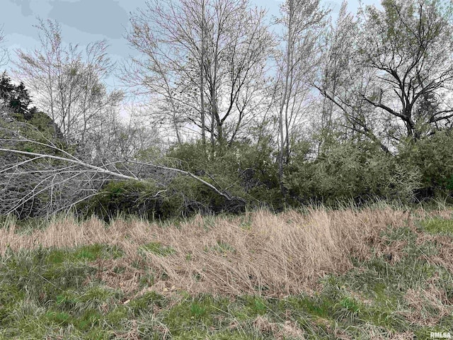 LOT103 Cherokee Rd, Goreville, IL 62939