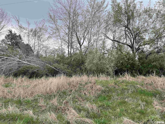 LOT103 Cherokee Rd, Goreville, IL 62939