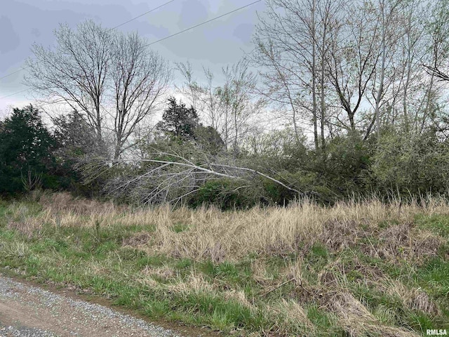LOT103 Cherokee Rd, Goreville, IL 62939