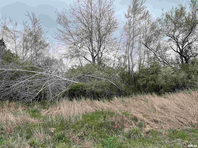 LOT103 Cherokee Rd, Goreville, IL 62939