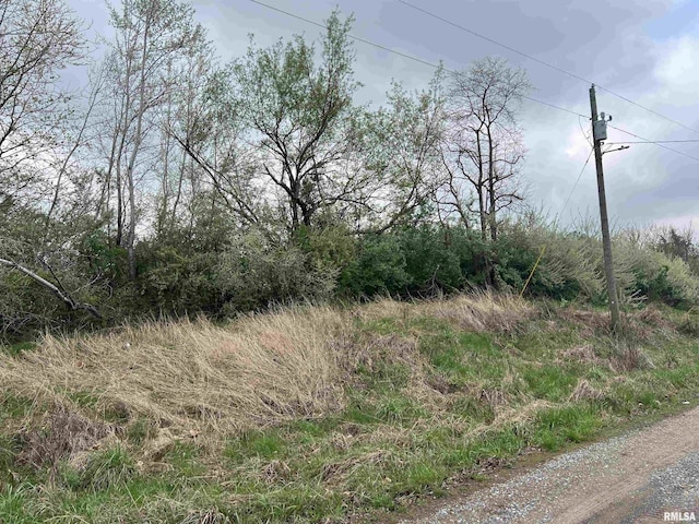 LOT103 Cherokee Rd, Goreville, IL 62939