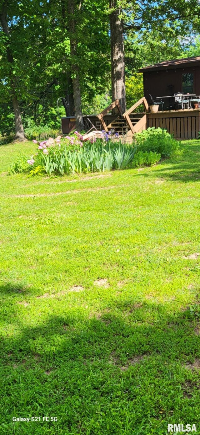 14854 Sesser Lake Rd, Sesser, IL 62884 - photo 41