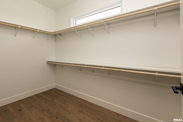 walk in closet featuring dark wood finished floors