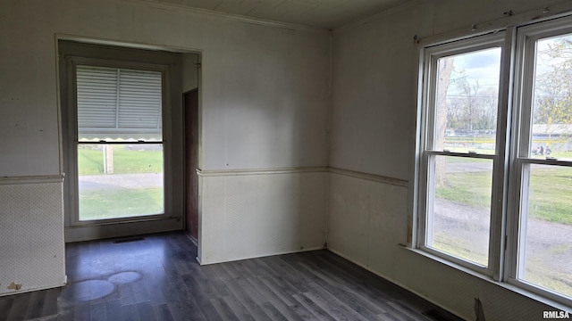 205 Shaw St, Harrisburg, IL 62946 - spare room with plenty of natural light, wainscoting, dark wood-style flooring, and crown molding