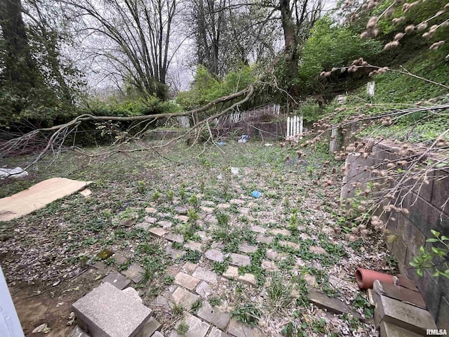 1012 W 9th St, Alton, IL 62002 - view of yard