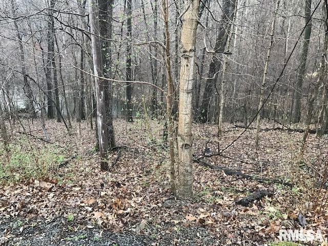 00 Deer Ridge Rd, Goreville, IL 62939