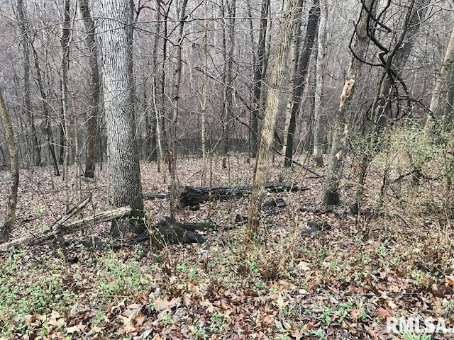 00 Deer Ridge Rd, Goreville, IL 62939