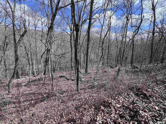 00 Deer Ridge Rd, Goreville, IL 62939