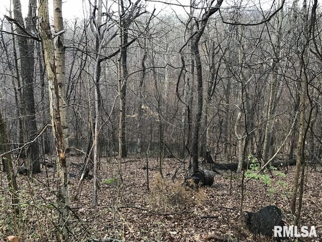00 Deer Ridge Rd, Goreville, IL 62939