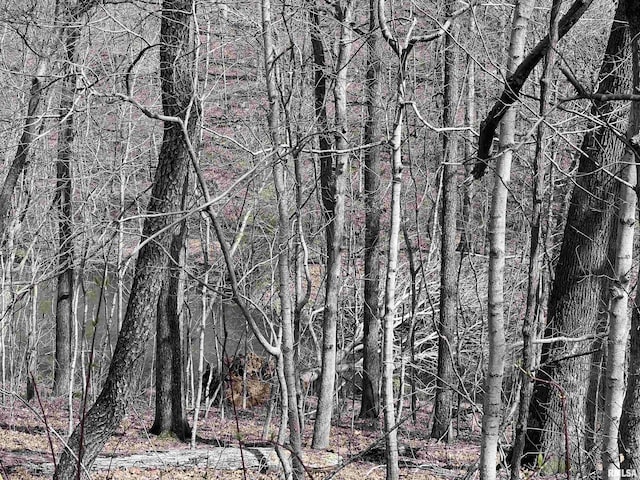 00 Deer Ridge Rd, Goreville, IL 62939