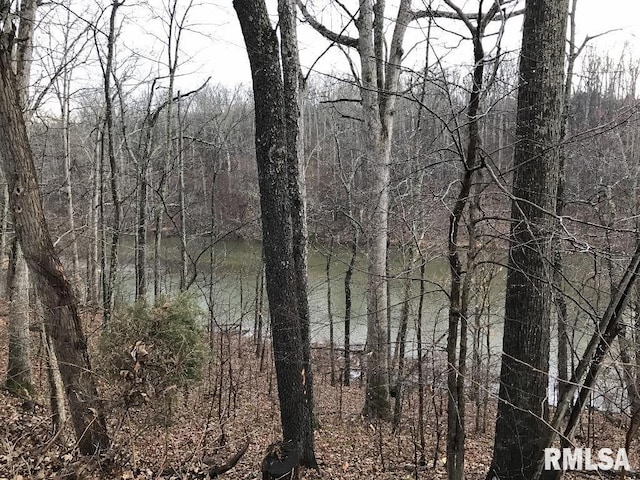 00 Deer Ridge Rd, Goreville, IL 62939