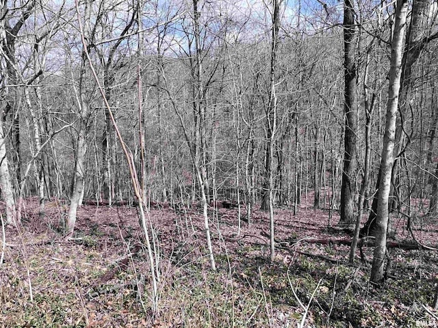 00 Deer Ridge Rd, Goreville, IL 62939
